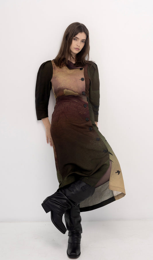 Aurora Dress - Rainbird Print
