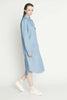 Raucous Shirt Dress