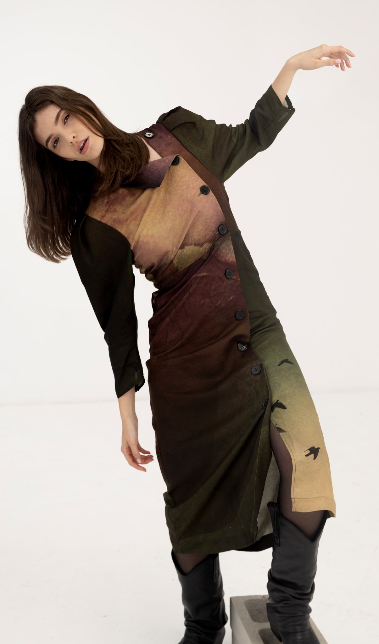 Aurora Dress - Rainbird Print