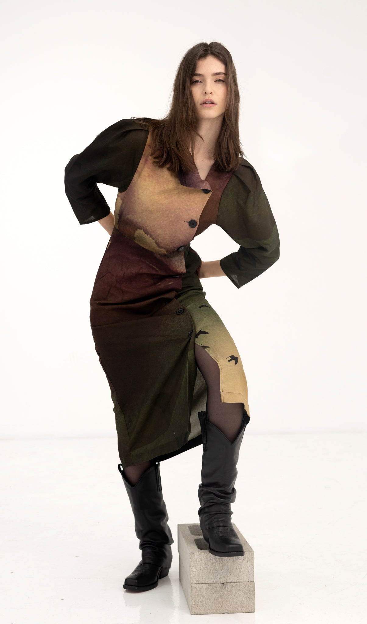 Aurora Dress - Rainbird Print